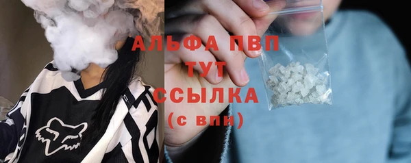 гидра Ладушкин