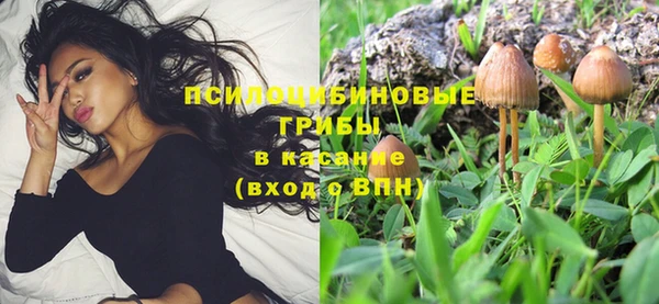 гидра Ладушкин