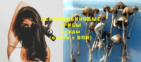 спайс Лагань