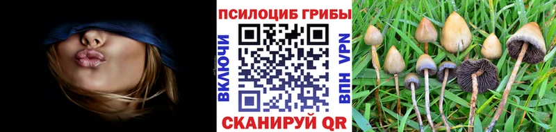 Псилоцибиновые грибы мицелий  Купить где  Миньяр 